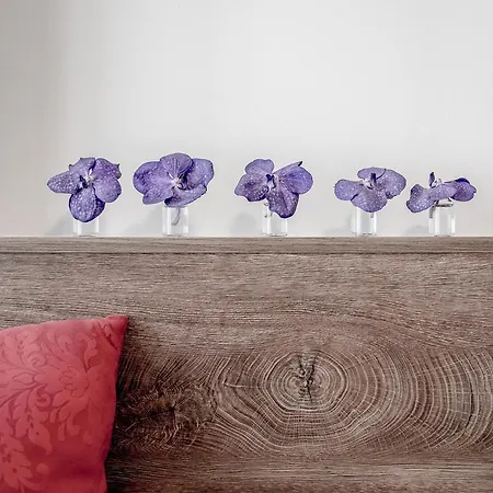 The View By Regina דירה *