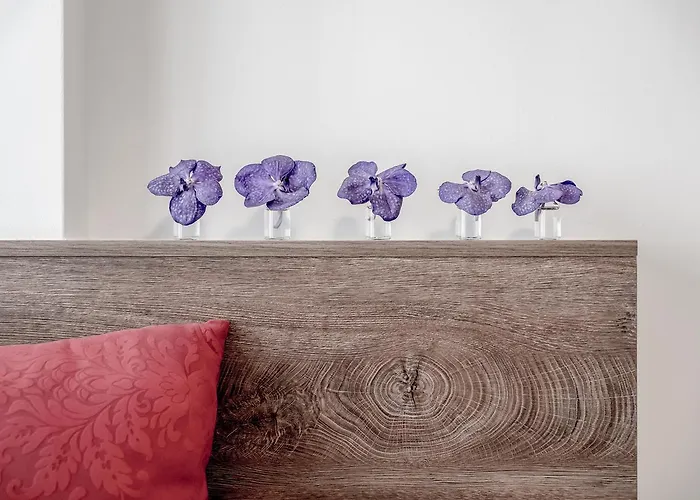 The View By Regina Апартаменты *